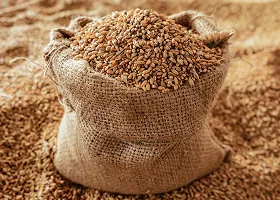 Wheat manufactured by OfBusiness