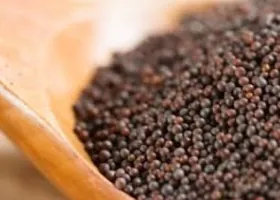 Mustard Seeds manufactured by OfBusiness