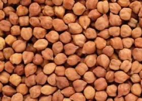 Chana manufactured by OfBusiness