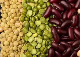 Organic Pulses manufactured by OfBusiness