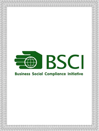 OFB Tech Limited BSCI certificate