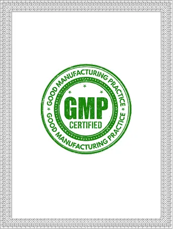 OFB Tech Limited GMP certificate
