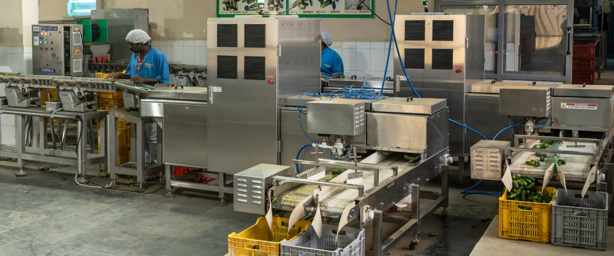 OfBusiness Bengaluru Units, Processed Vegetables — Food Processing manufacturing plant